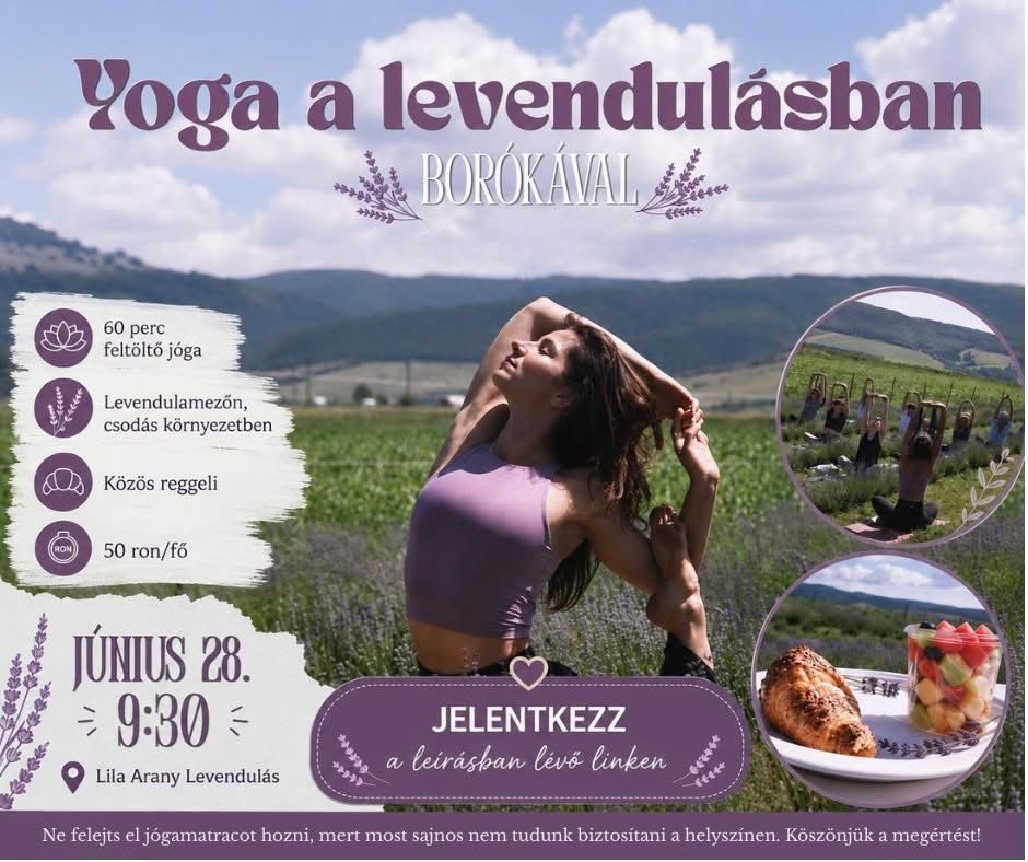 Lila Arany levendula fesztivál - június 27-28, július 4-5