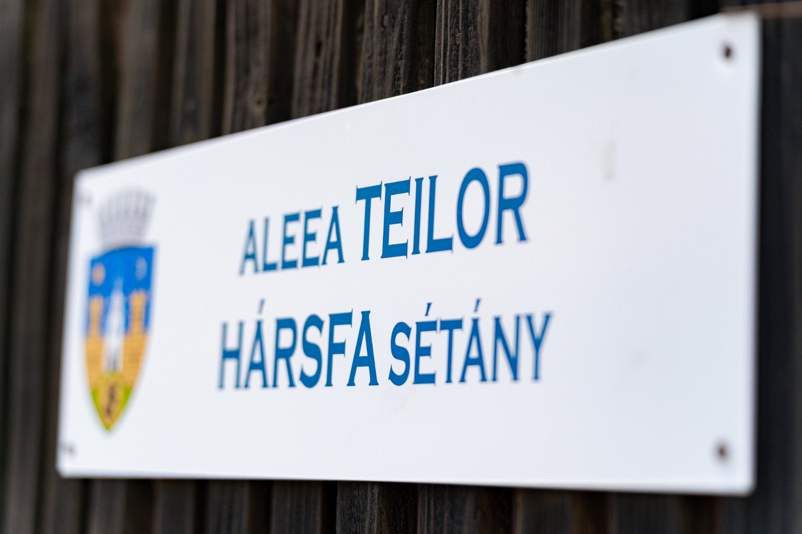 Sepsiszentgyörgyön le kell cserélni az összes utcanévtáblát egy jogerős bírósági döntés nyomán