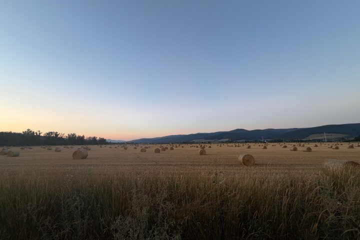 Augusztus 2. Szalmabálák. Bodok község.